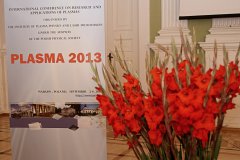 Plasma_2013 (50).JPG